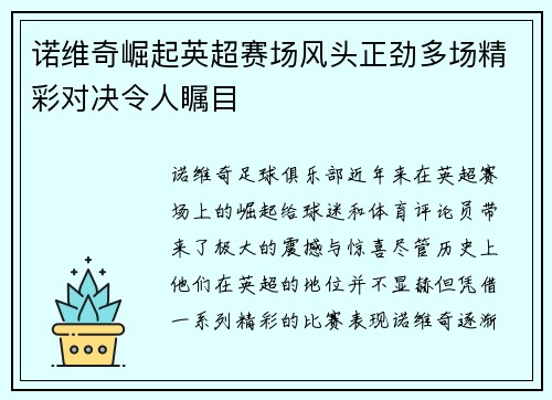 诺维奇崛起英超赛场风头正劲多场精彩对决令人瞩目