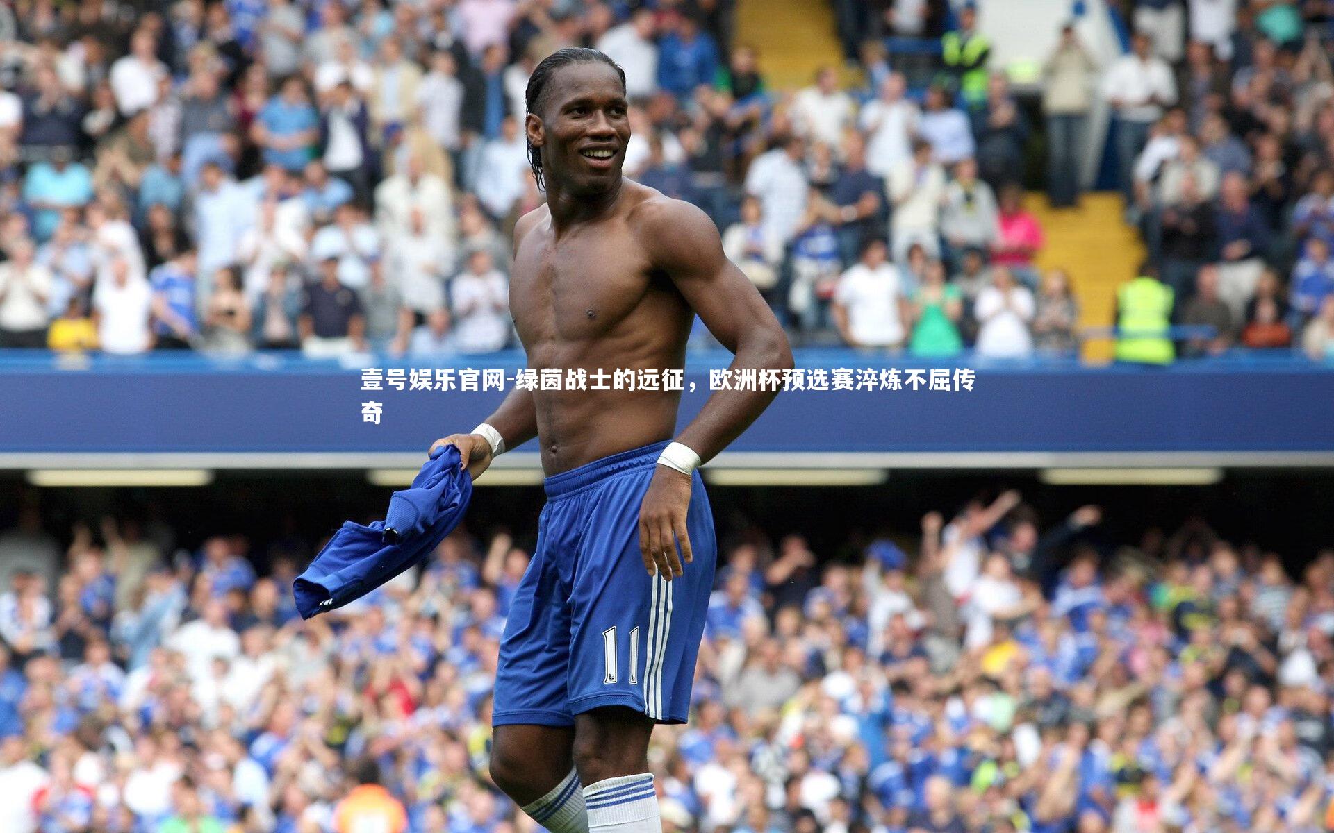 绿茵战士的远征，欧洲杯预选赛淬炼不屈传奇